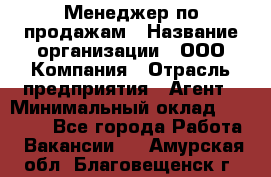 Менеджер по продажам › Название организации ­ ООО Компания › Отрасль предприятия ­ Агент › Минимальный оклад ­ 30 000 - Все города Работа » Вакансии   . Амурская обл.,Благовещенск г.